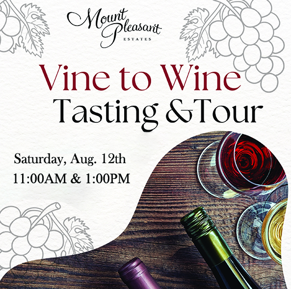 Vine To Wine Tasting & Tour Visit Augusta, MO America's First Wine